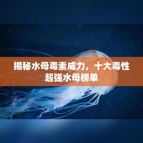 揭秘水母毒素威力，十大毒性超强水母榜单