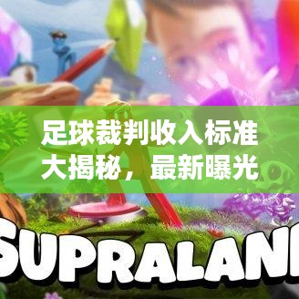 足球裁判收入标准大揭秘，最新曝光！