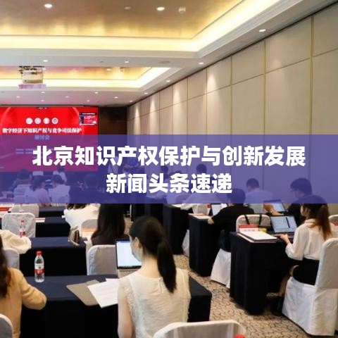 北京知识产权保护与创新发展新闻头条速递