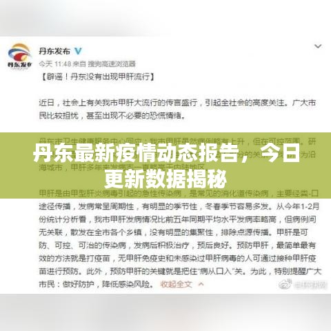 丹东最新疫情动态报告，今日更新数据揭秘