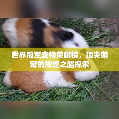 冰肌玉骨 第4页