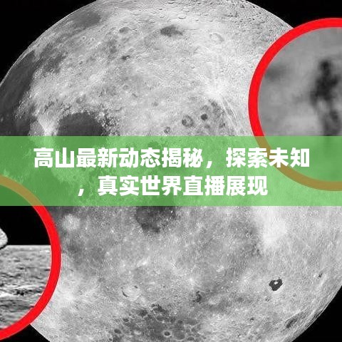 高山最新动态揭秘，探索未知，真实世界直播展现