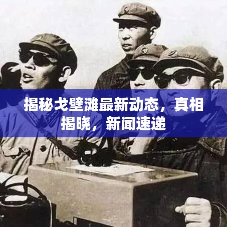 揭秘戈壁滩最新动态，真相揭晓，新闻速递