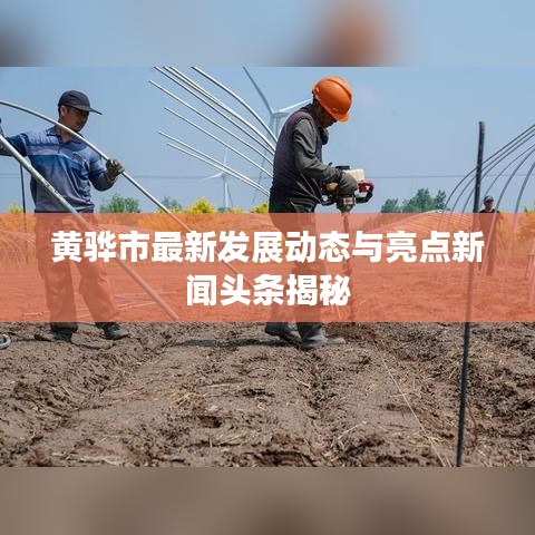 林下风范 第2页
