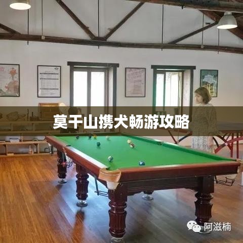 莫干山携犬畅游攻略