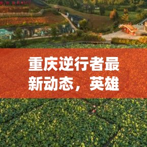 重庆逆行者最新动态，英雄城市的坚韧力量展现