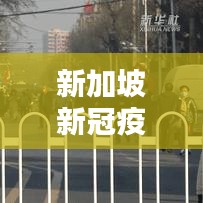 新加坡新冠疫情最新动态，今日消息综述报告
