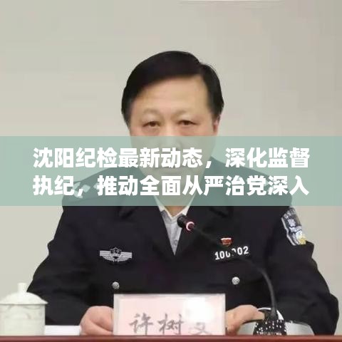 沈阳纪检最新动态，深化监督执纪，推动全面从严治党深入基层