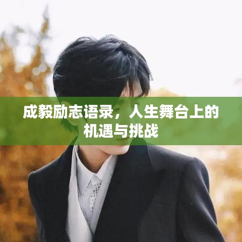 成毅励志语录，人生舞台上的机遇与挑战