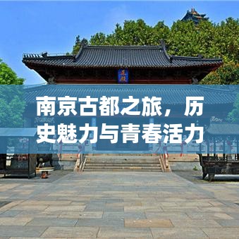 南京古都之旅，历史魅力与青春活力的完美融合