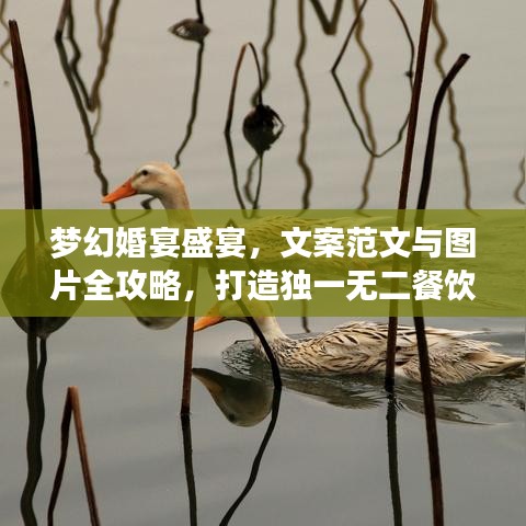 梦幻婚宴盛宴，文案范文与图片全攻略，打造独一无二餐饮婚宴体验