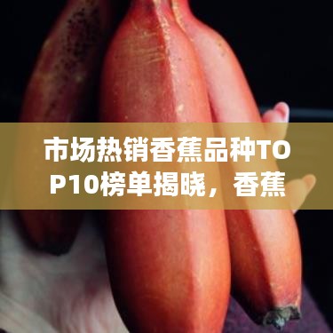 市场热销香蕉品种TOP10榜单揭晓，香蕉界的热门之选深度解读