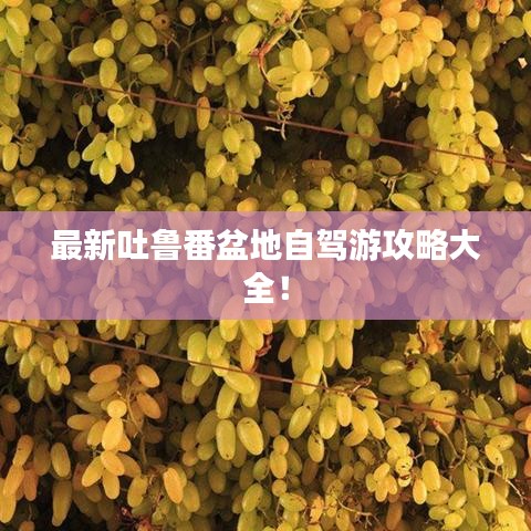 最新吐鲁番盆地自驾游攻略大全！