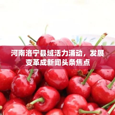 河南洛宁县域活力涌动，发展变革成新闻头条焦点