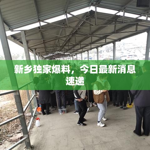 新乡独家爆料，今日最新消息速递