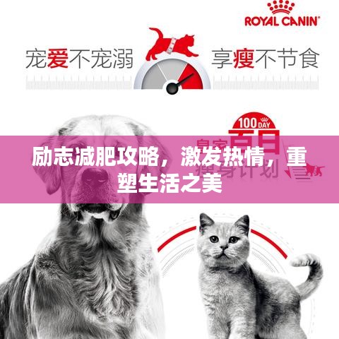 励志减肥攻略，激发热情，重塑生活之美