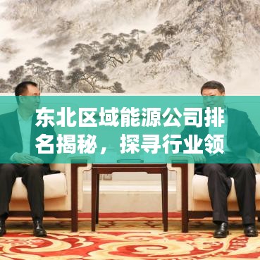 东北区域能源公司排名揭秘，探寻行业领军者，谁领风骚？