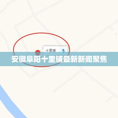安徽阜阳十里铺最新新闻聚焦