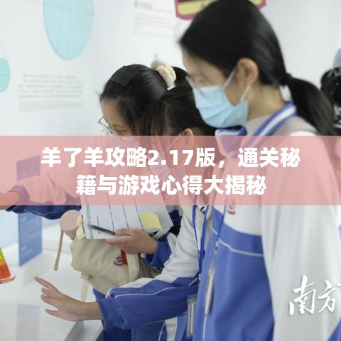 羊了羊攻略2.17版，通关秘籍与游戏心得大揭秘