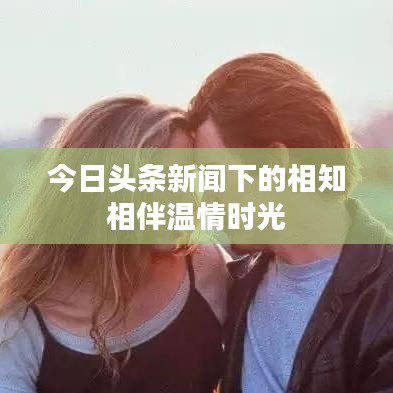 今日头条新闻下的相知相伴温情时光