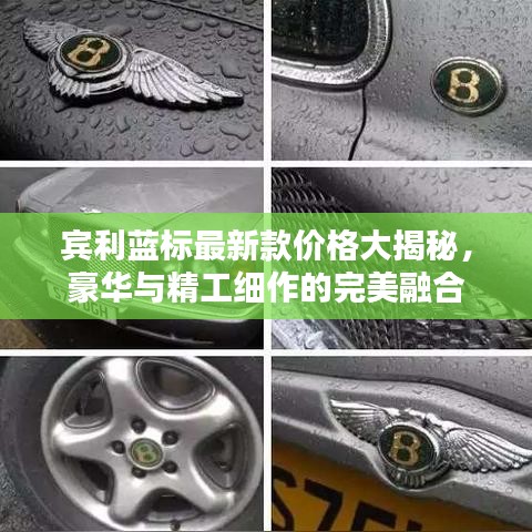 宾利蓝标最新款价格大揭秘，豪华与精工细作的完美融合