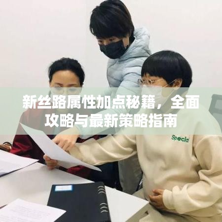 新丝路属性加点秘籍，全面攻略与最新策略指南