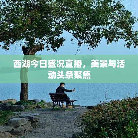 西湖今日盛况直播，美景与活动头条聚焦