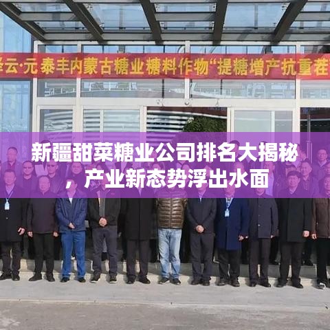 新疆甜菜糖业公司排名大揭秘，产业新态势浮出水面