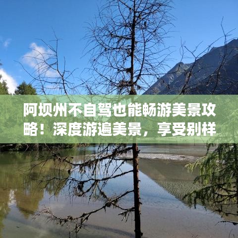 阿坝州不自驾也能畅游美景攻略！深度游遍美景，享受别样风情体验