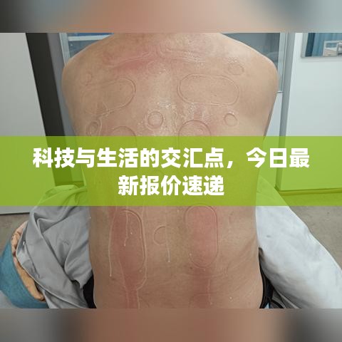 科技与生活的交汇点，今日最新报价速递