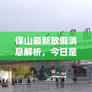 保山最新放假消息解析，今日是否放假？一网打尽最新消息！