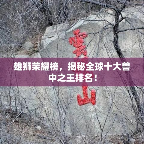 雄狮荣耀榜，揭秘全球十大兽中之王排名！