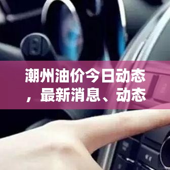 潮州油价今日动态，最新消息、动态概述及影响因素一网打尽