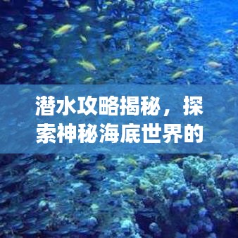 潜水攻略揭秘，探索神秘海底世界的奇幻之旅！