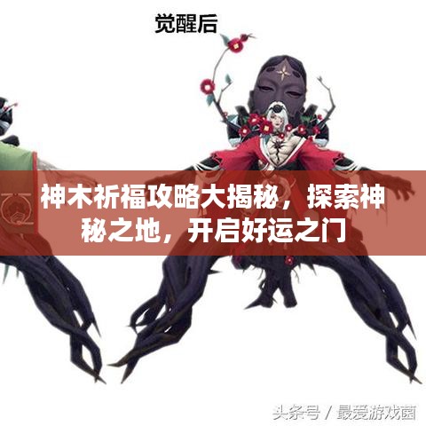 神木祈福攻略大揭秘，探索神秘之地，开启好运之门
