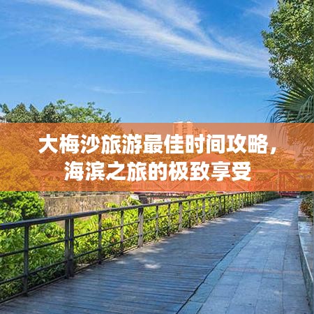 大梅沙旅游最佳时间攻略，海滨之旅的极致享受