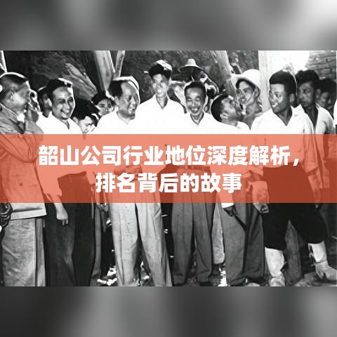 韶山公司行业地位深度解析，排名背后的故事