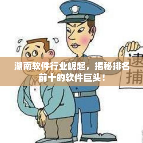 湖南软件行业崛起，揭秘排名前十的软件巨头！