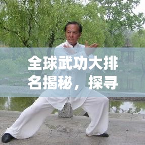 全球武功大排名揭秘，探寻武术巅峰之道