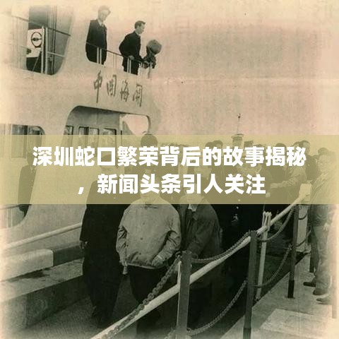 深圳蛇口繁荣背后的故事揭秘，新闻头条引人关注