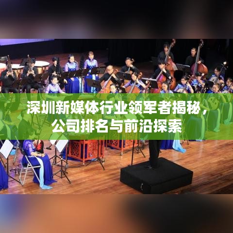 深圳新媒体行业领军者揭秘，公司排名与前沿探索