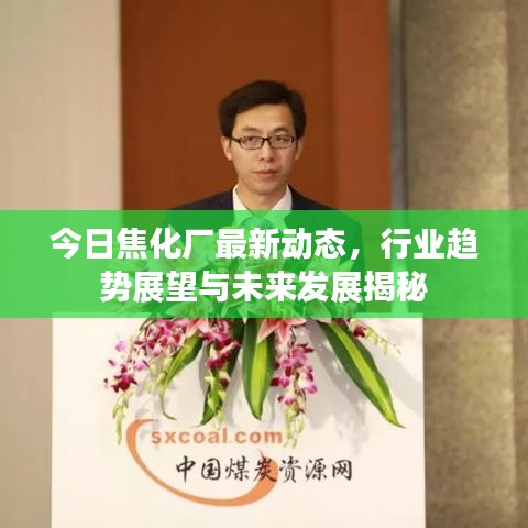今日焦化厂最新动态，行业趋势展望与未来发展揭秘