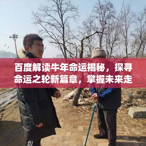 百度解读牛年命运揭秘，探寻命运之轮新篇章，掌握未来走向！