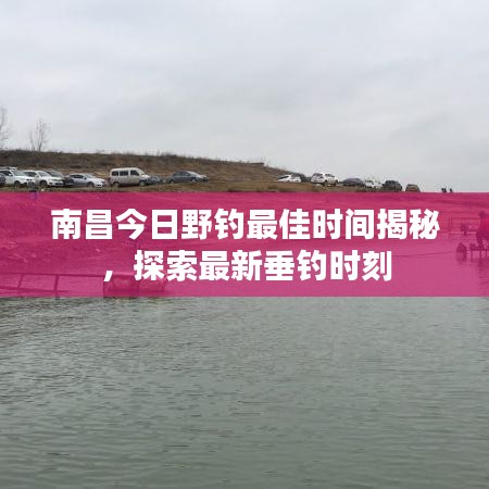 南昌今日野钓最佳时间揭秘，探索最新垂钓时刻