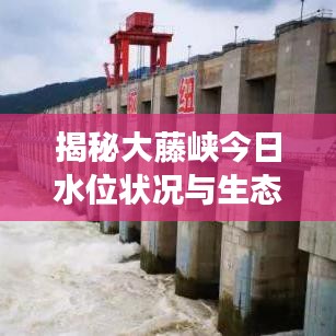 揭秘大藤峡今日水位状况与生态保护进展