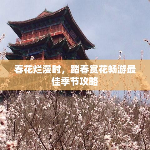 春花烂漫时，踏春赏花畅游最佳季节攻略