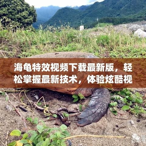 海龟特效视频下载最新版，轻松掌握最新技术，体验炫酷视频编辑！