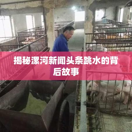 揭秘漯河新闻头条跳水的背后故事
