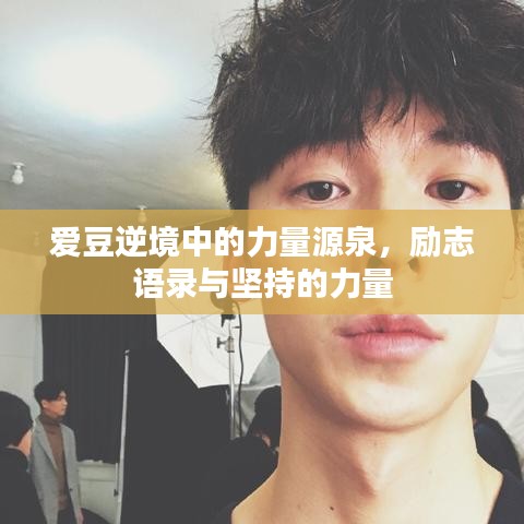 爱豆逆境中的力量源泉，励志语录与坚持的力量