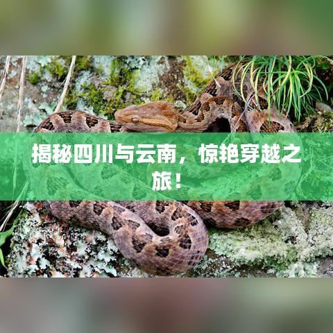 揭秘四川与云南，惊艳穿越之旅！
